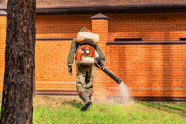 Bed Bug Clearance Verification and Documentation in Olivia